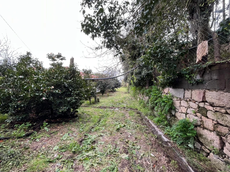 Quinta T0 para Venda em Sanfins Lamoso Codessos Foto 20