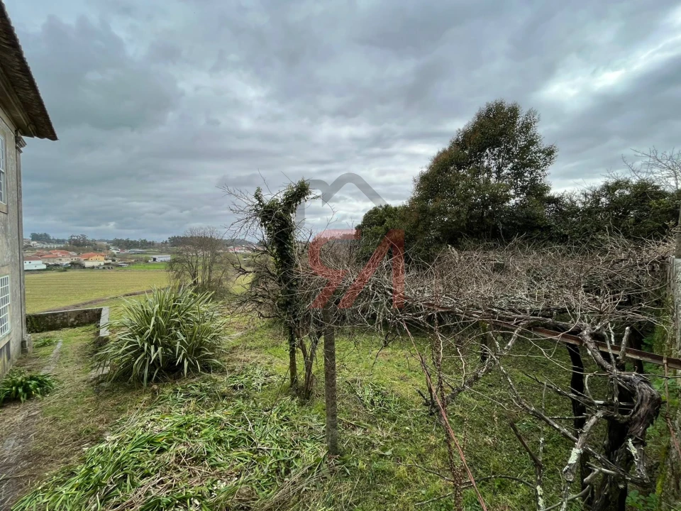 Quinta T0 para Venda em Sanfins Lamoso Codessos Foto 7