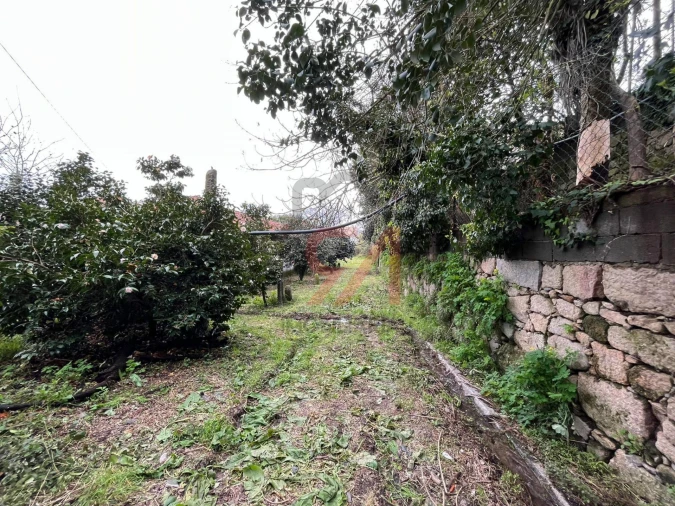 Quinta T0 para Venda em Sanfins Lamoso Codessos Foto 14