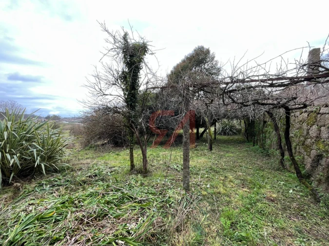 Quinta T0 para Venda em Sanfins Lamoso Codessos Foto 4