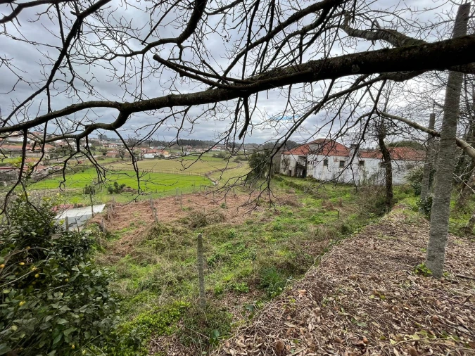 Quinta T0 para Venda em Sanfins Lamoso Codessos Foto 23