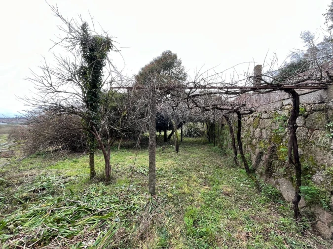 Quinta T0 para Venda em Sanfins Lamoso Codessos Foto 9