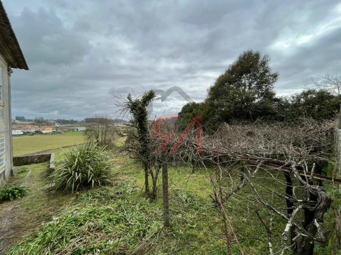 Quinta T0 para Venda em Sanfins Lamoso Codessos Foto 7