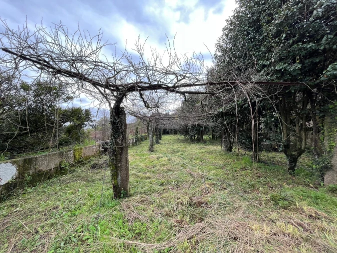 Quinta T0 para Venda em Sanfins Lamoso Codessos Foto 13