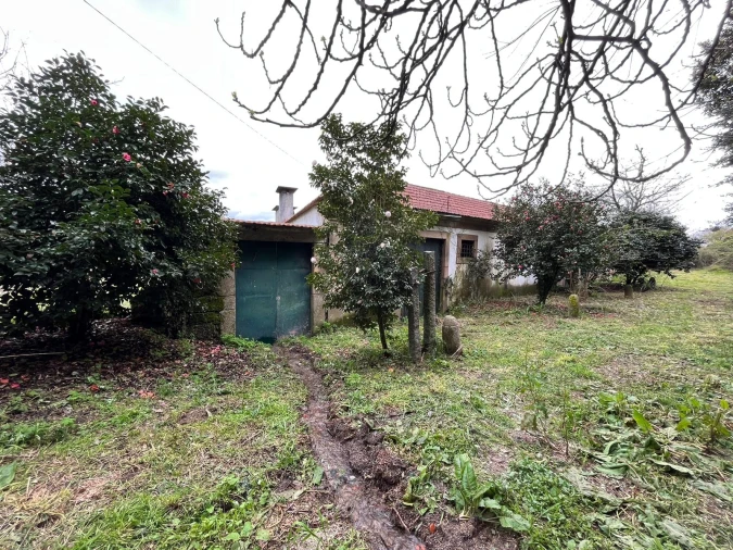 Quinta T0 para Venda em Sanfins Lamoso Codessos Foto 19