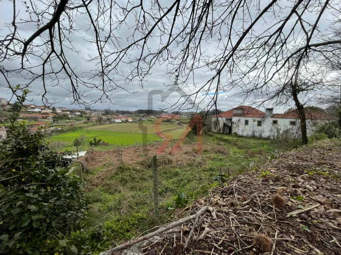 Quinta T0 para Venda em Sanfins Lamoso Codessos Foto 15