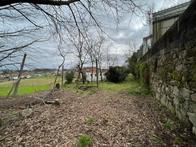 Quinta T0 para Venda em Sanfins Lamoso Codessos Foto 21