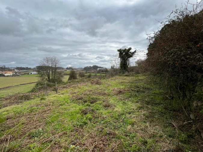 Quinta T0 para Venda em Sanfins Lamoso Codessos Foto 4