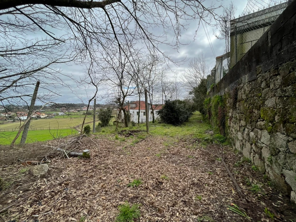 Quinta T0 para Venda em Sanfins Lamoso Codessos Foto 21