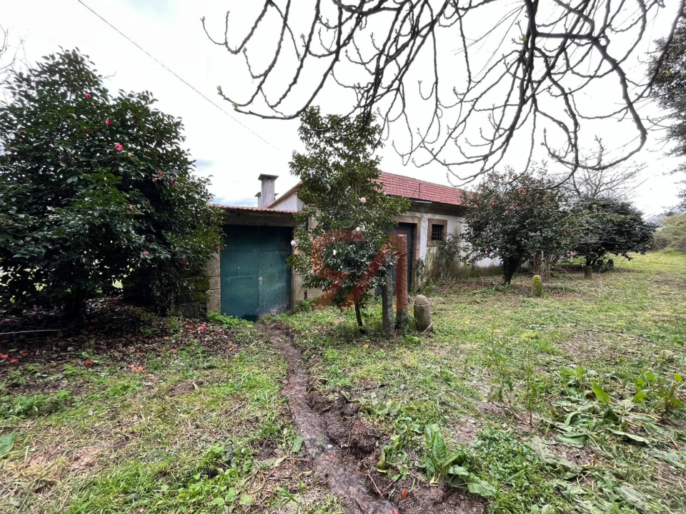 Quinta T0 para Venda em Sanfins Lamoso Codessos Foto 13