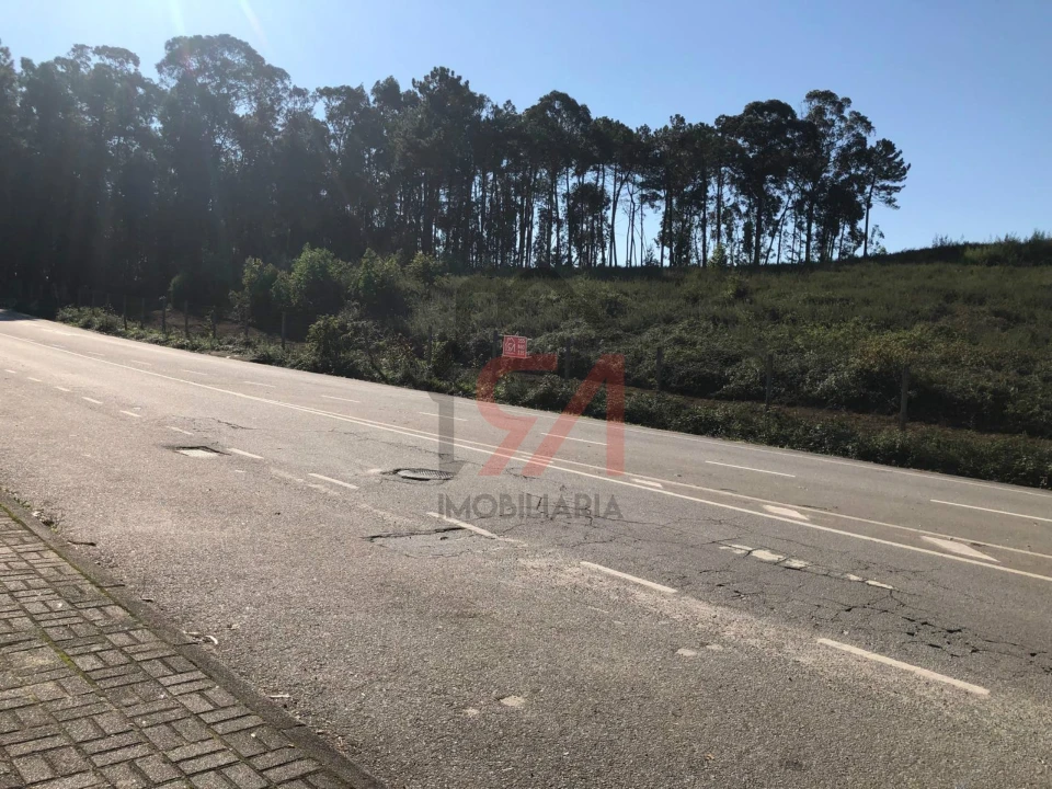 Terreno para Venda em Freamunde Foto 2