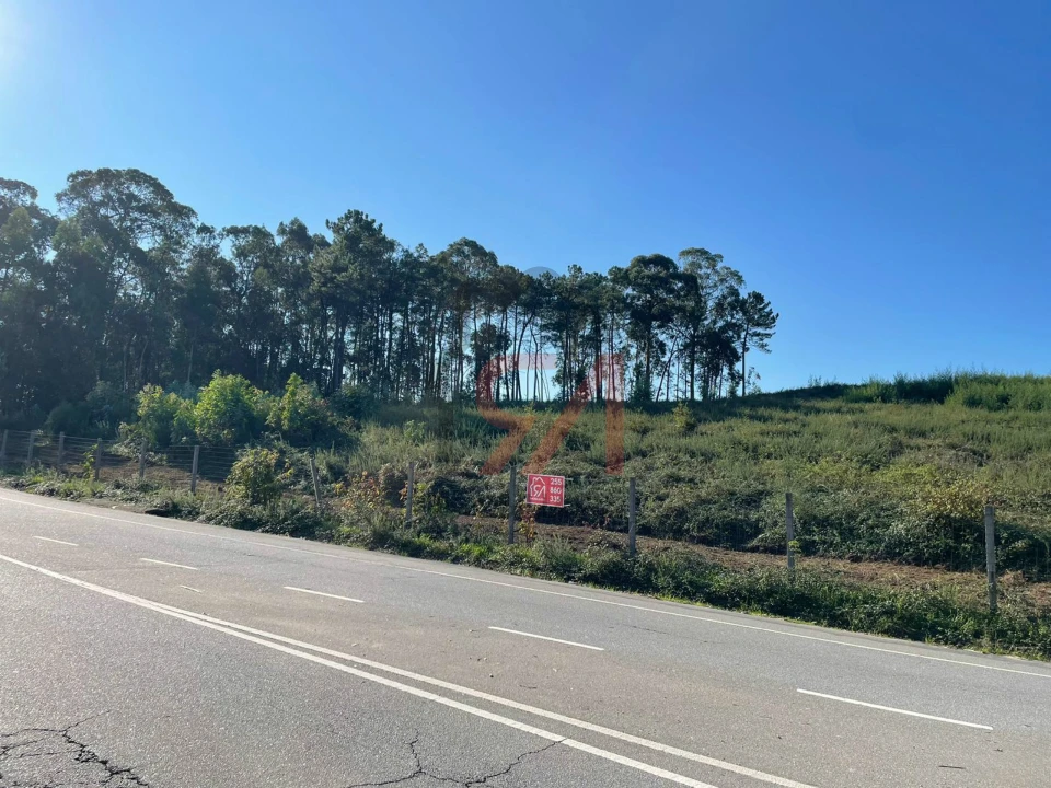 Terreno para Venda em Freamunde Foto 3