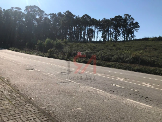 Terreno para Venda em Freamunde Foto 2