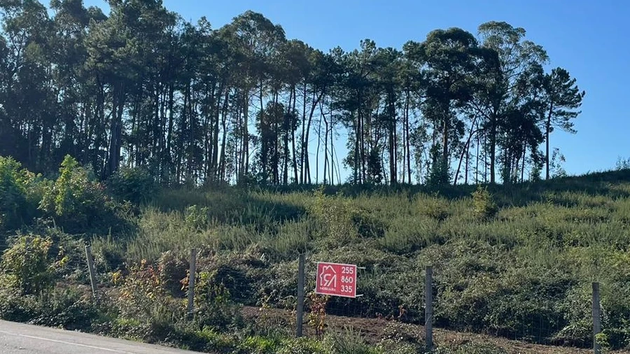 Terreno para Venda em Freamunde