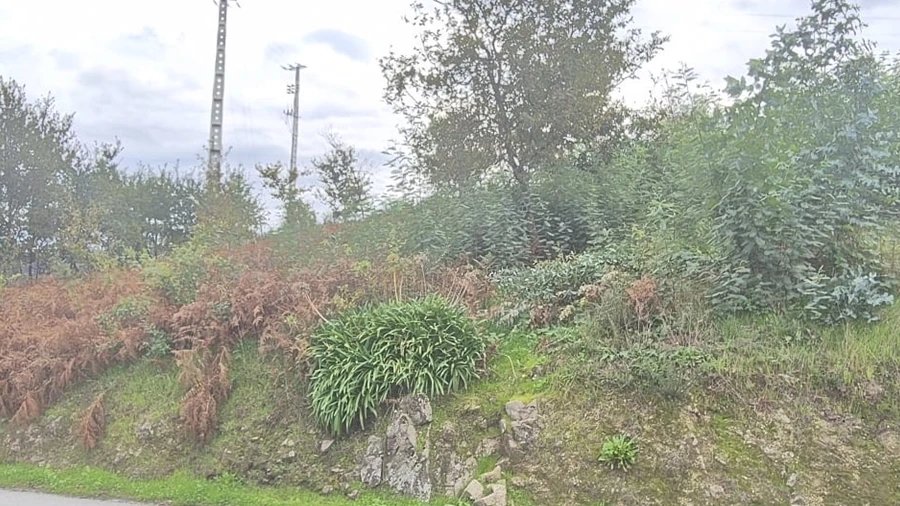 Terreno para Venda em Penamaior