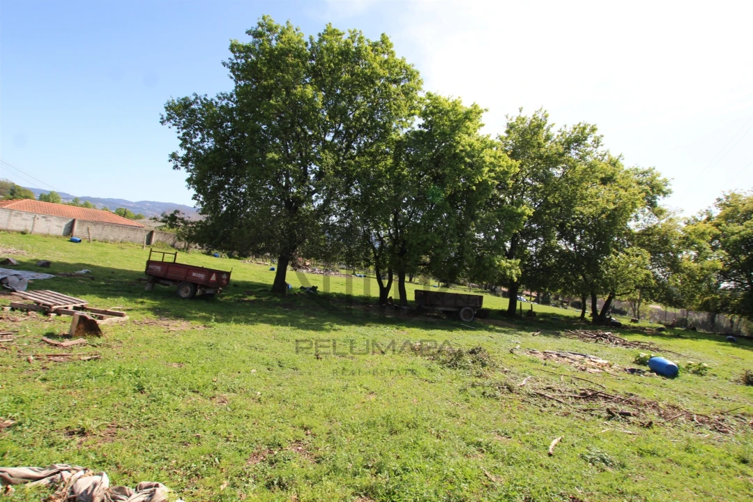 Terreno para Venda em Carreira e Bente Foto 12
