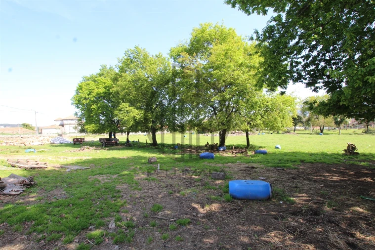 Terreno para Venda em Carreira e Bente Foto 14
