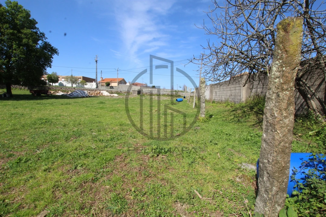 Terreno para Venda em Carreira e Bente Foto 8