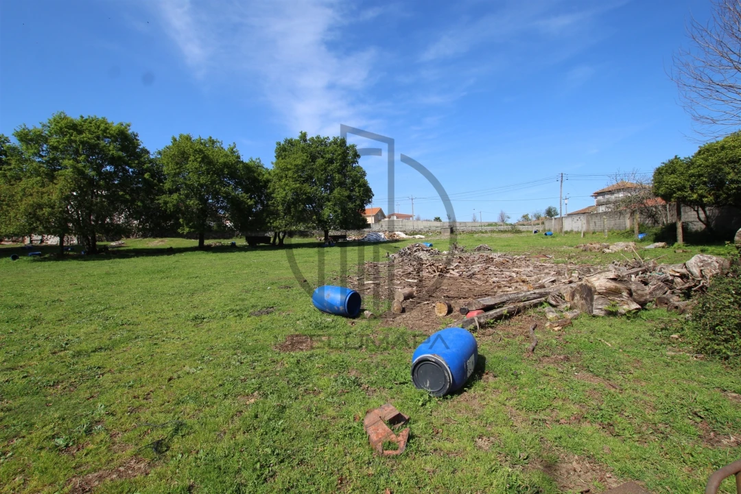 Terreno para Venda em Carreira e Bente Foto 5