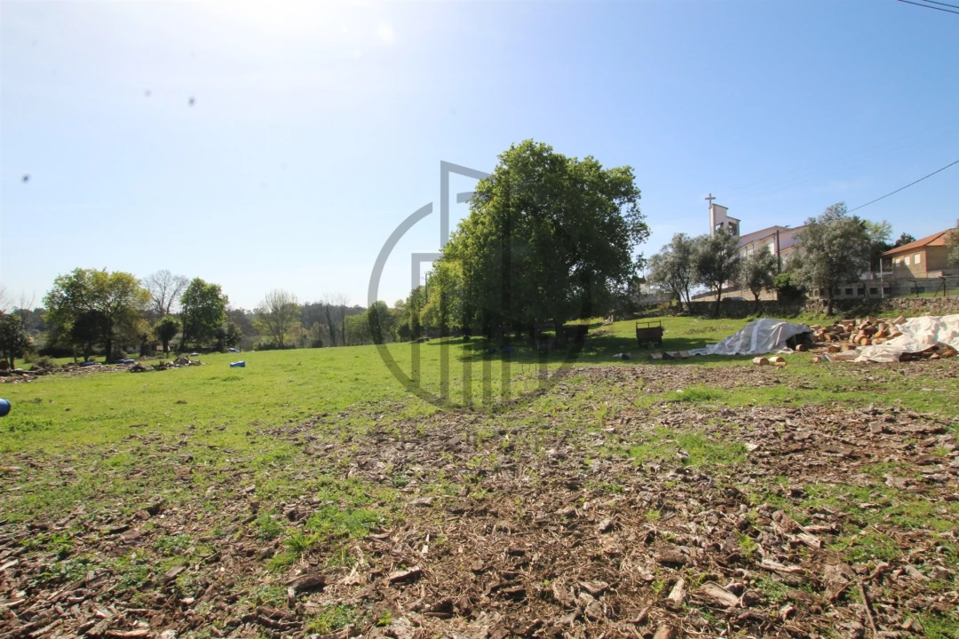 Terreno para Venda em Carreira e Bente Foto 9