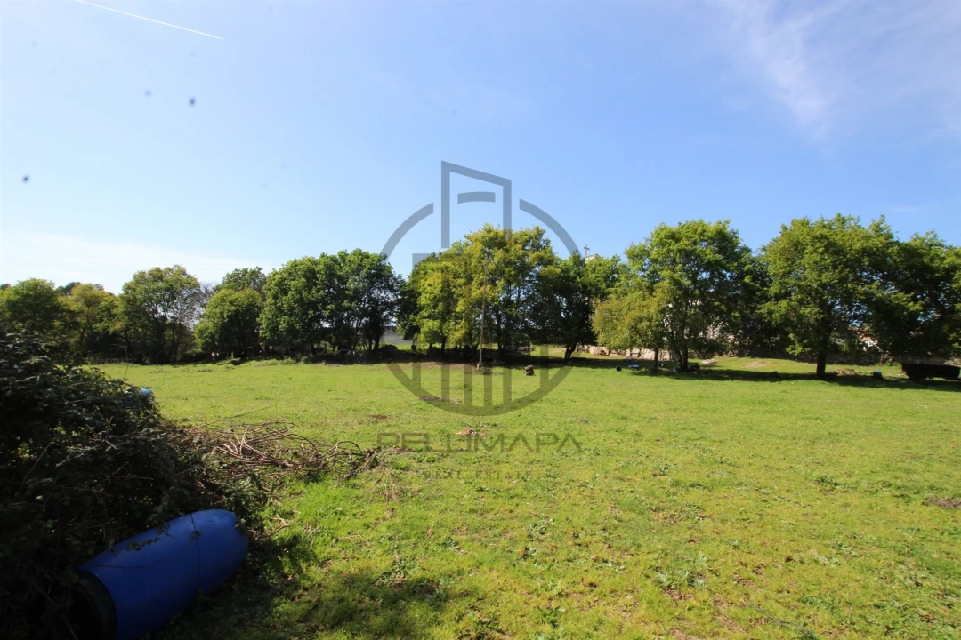 Terreno para Venda em Carreira e Bente Foto 1