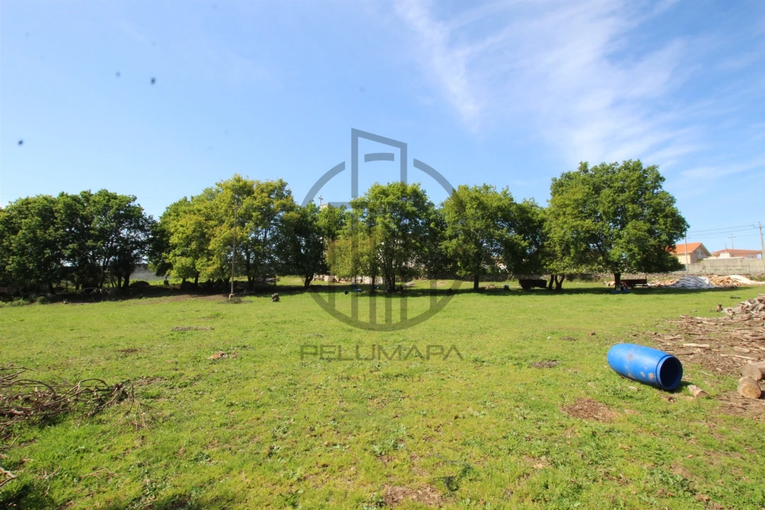 Terreno para Venda em Carreira e Bente Foto 6