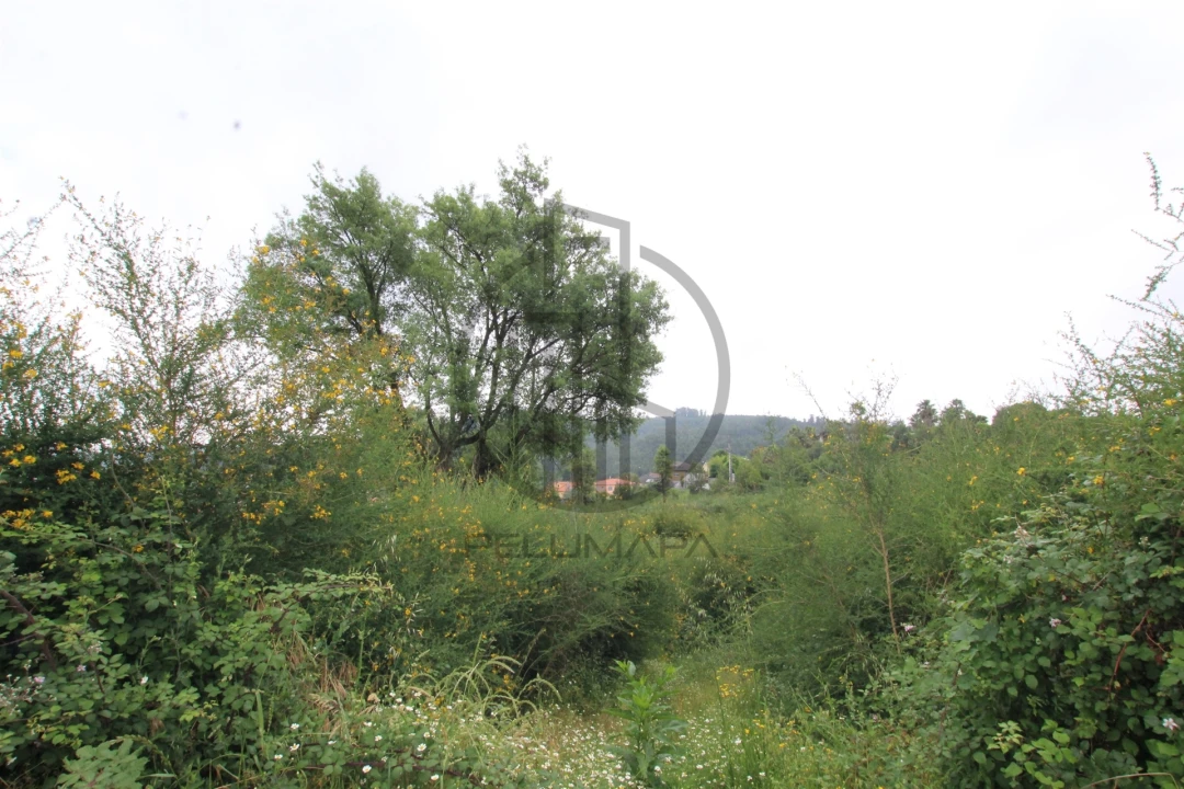 Terreno para Venda em Vale (São Cosme), Telhado e Portela Foto 6