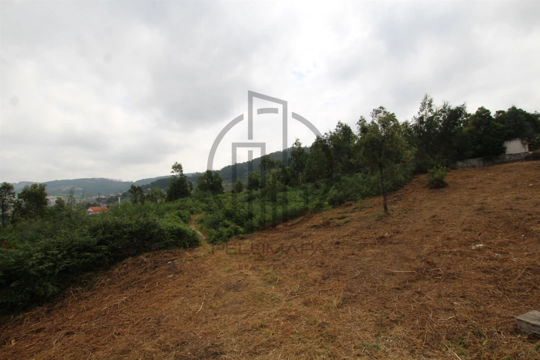 Terreno para Venda em Vale (São Cosme), Telhado e Portela Foto 9