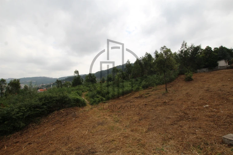 Terreno para Venda em Vale (São Cosme), Telhado e Portela Foto 9
