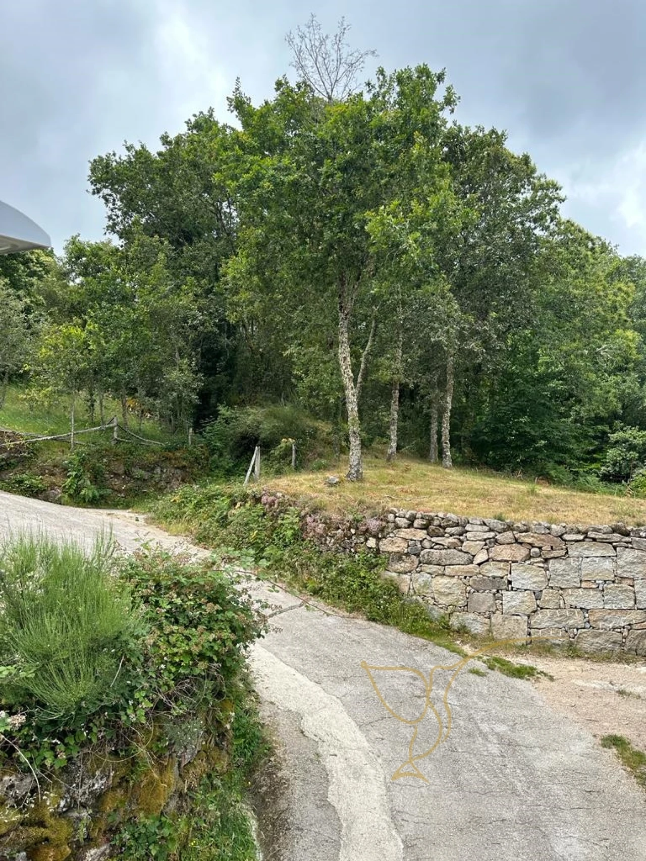 Moradia T0 para Venda em Castro Laboreiro e Lamas de Mouro Foto 19