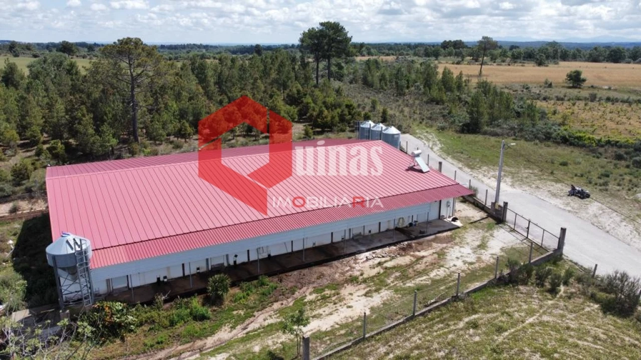 Armazém para Venda em Alfaiates Foto 4