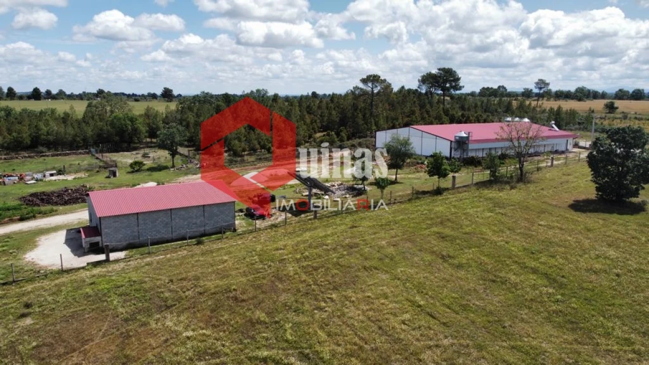 Armazém para Venda em Alfaiates Foto 1