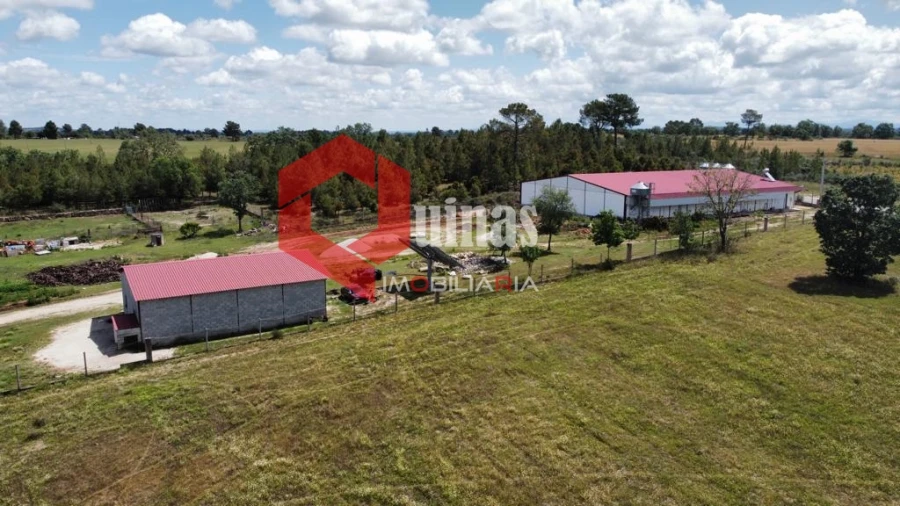 Armazém para Venda em Alfaiates