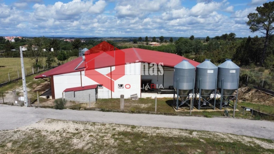 Armazém para Venda em Alfaiates Foto 2