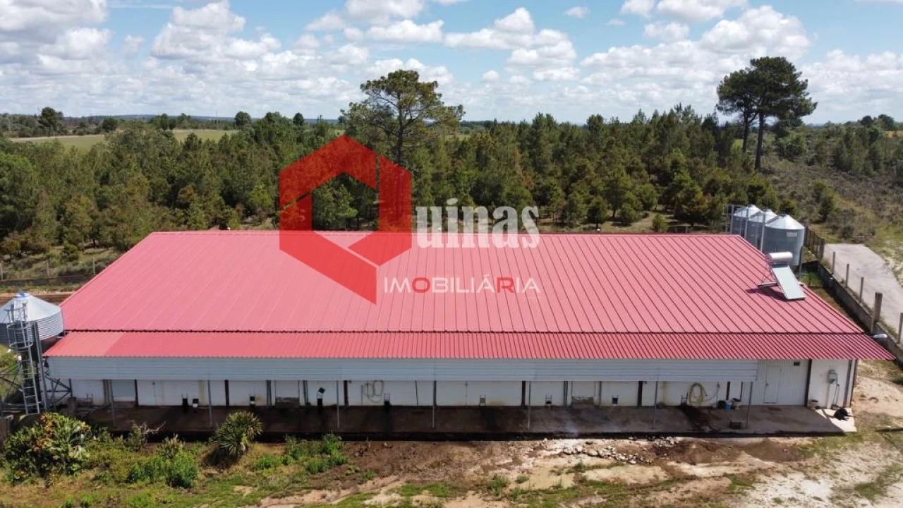 Armazém para Venda em Alfaiates Foto 3