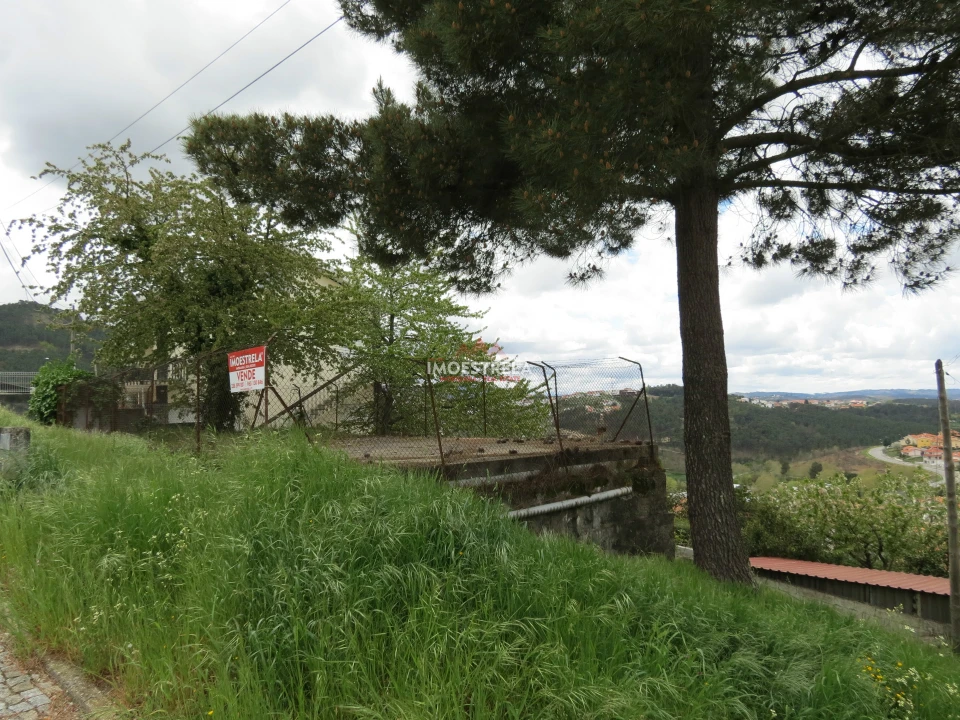 Terreno para Venda em Seia, São Romão e Lapa dos Dinheiros Foto 3