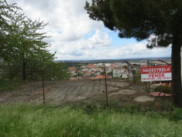 Terreno para Venda em Seia, São Romão e Lapa dos Dinheiros