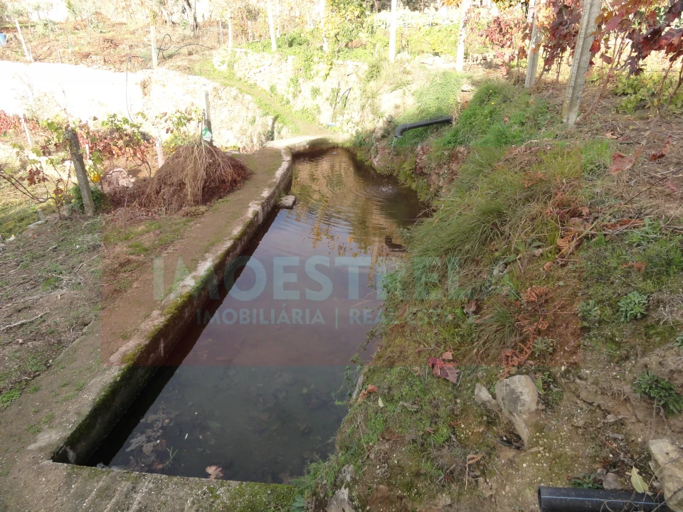 Terreno para Venda em Seia, São Romão e Lapa dos Dinheiros Foto 9