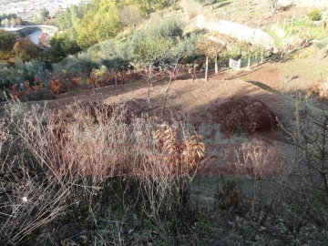 Terreno para Venda em Seia, São Romão e Lapa dos Dinheiros