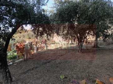 Terreno para Venda em Seia, São Romão e Lapa dos Dinheiros