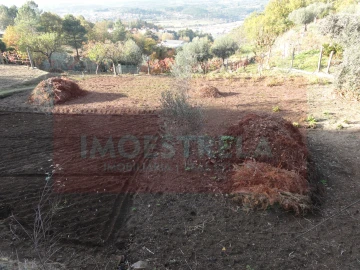 Terreno para Venda em Seia, São Romão e Lapa dos Dinheiros
