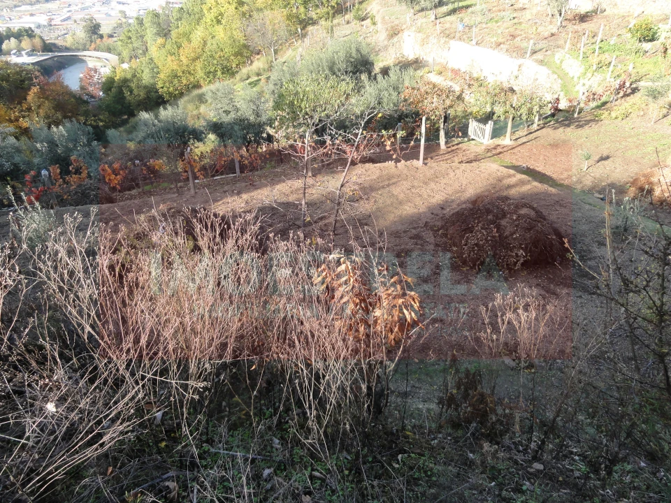 Terreno para Venda em Seia, São Romão e Lapa dos Dinheiros Foto 2