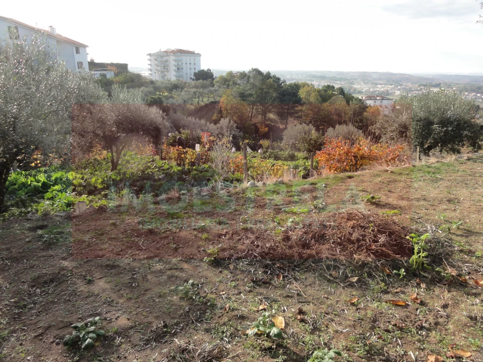 Terreno para Venda em Seia, São Romão e Lapa dos Dinheiros Foto 5
