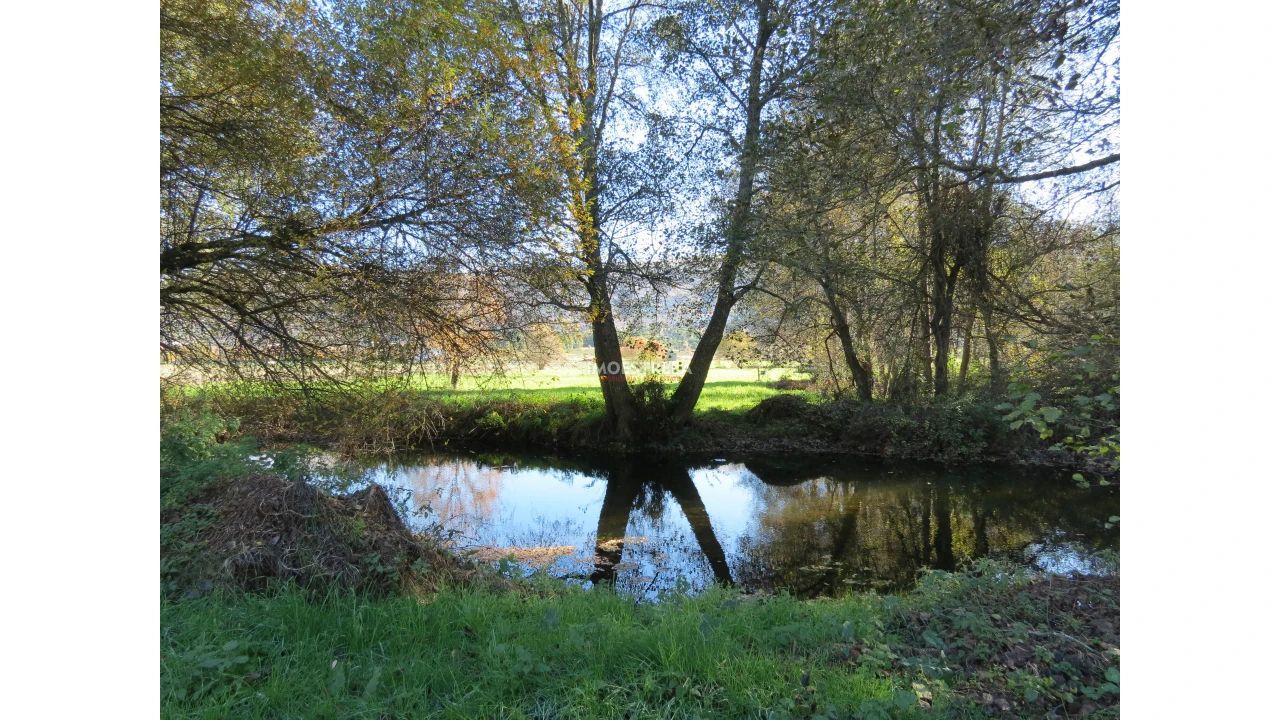 Quinta T0 para Venda em Santa Comba Foto 12