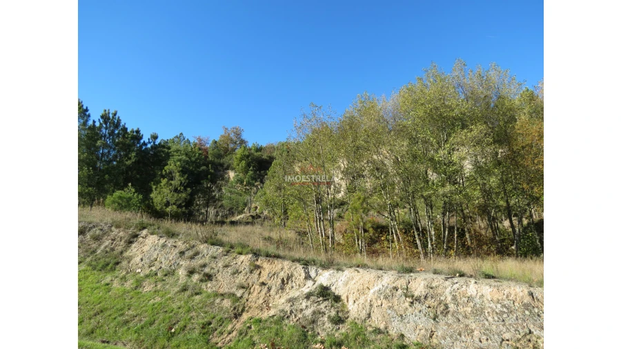 Quinta T0 para Venda em Santa Comba Foto 13