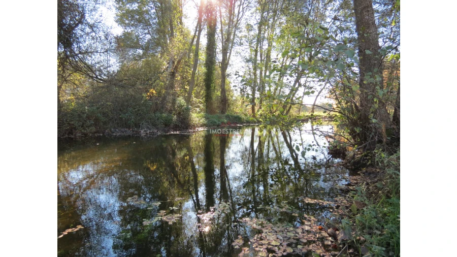 Quinta T0 para Venda em Santa Comba Foto 2