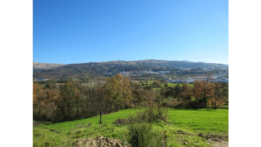 Quinta T0 para Venda em Santa Comba Foto 16