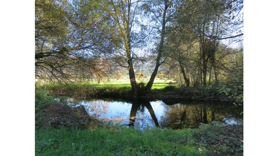 Quinta T0 para Venda em Santa Comba Foto 12