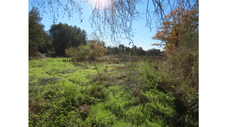 Quinta T0 para Venda em Santa Comba Foto 7