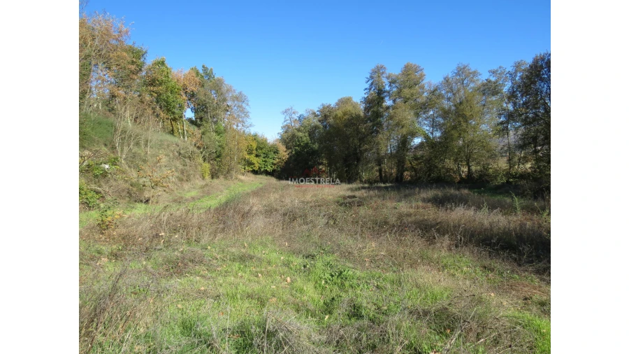 Quinta T0 para Venda em Santa Comba Foto 5